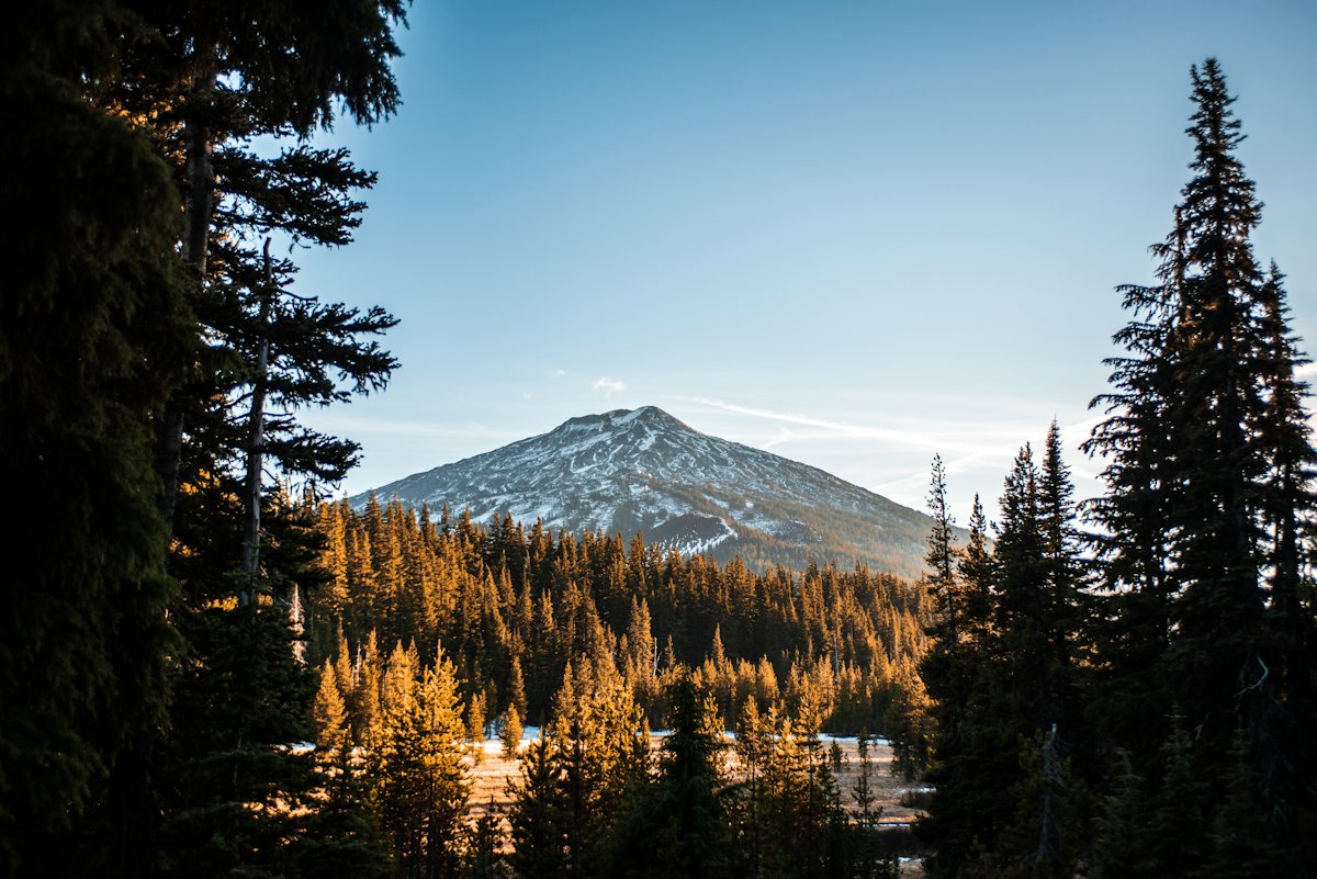 Pine forest and a mountain near Bend, Oregon