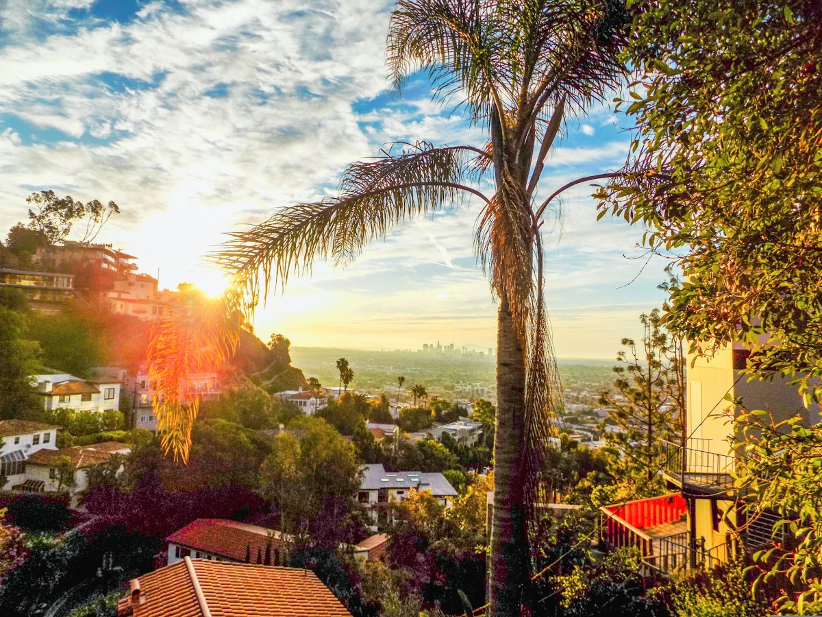 Homes along a hillside in Los Angeles