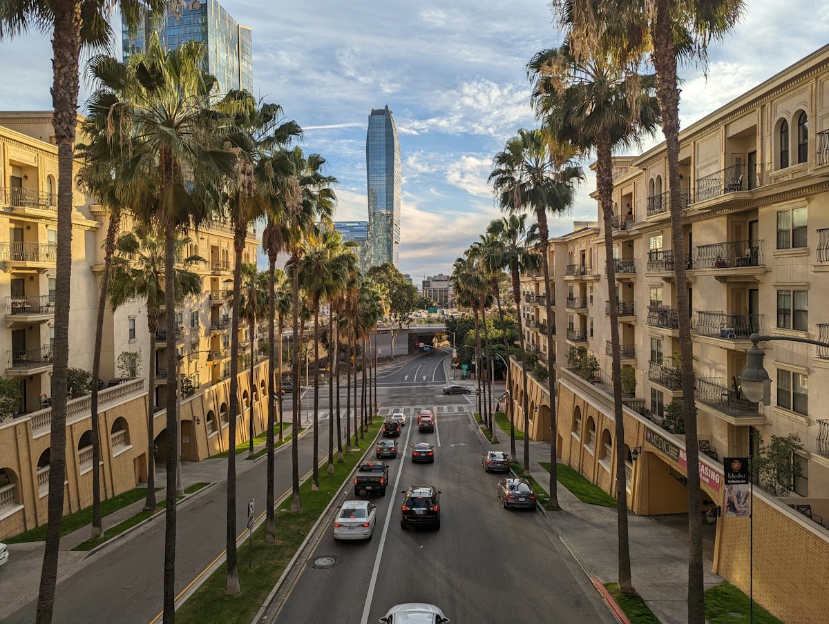 A Los Angeles street lined with palm trees